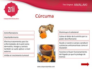 Cúrcuma Antiinflamatorio Efectivo tratamiento para las enfermedades de la piel como dermatitis, hongos y soriasis también se suele aplicar a nivel externo Ayuda a nuestro cuerpo a producir sustancias anticancerosas como el Glutatión Calma el dolor de la artritis por su poder desinflamante Favorece el buen funcionamiento del hígado ya que lo protege de toxinas Inhibe el crecimiento tumoral Hipolipidemiante Disminuye el colesterol www.zriiporcolombia.com 