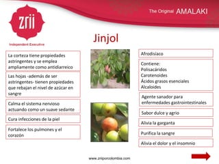 Jinjol La corteza tiene propiedades astringentes y se emplea ampliamente como antidiarreico Calma el sistema nervioso actuando como un suave sedante Contiene: Polisacáridos Carotenoides Ácidos grasos esenciales Alcaloides Agente sanador para enfermedades gastrointestinales Cura infecciones de la piel Afrodisíaco Sabor dulce y agrio Alivia la garganta Alivia el dolor y el insomnio Fortalece los pulmones y el corazón Purifica la sangre Las hojas -además de ser astringentes- tienen propiedades que rebajan el nivel de azúcar en sangre www.zriiporcolombia.com 