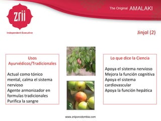 Jinjol (2) Usos Ayurvédicos/Tradicionales Actual como tónico mental, calma el sistema nervioso Agente armonizador en formulas tradicionales Purifica la sangre Lo que dice la Ciencia Apoya el sistema nervioso Mejora la función cognitiva Apoya el sistema cardiovascular Apoya la función hepática www.zriiporcolombia.com 