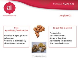 Jengibre(2) Usos Ayurvédicos/Tradicionales Alivia los “fuegos gástricos” del cuerpo Aumenta la asimilación y absorción de nutrientes Lo que dice la Ciencia Propiedades antiinflamatorias Apoya la digestión Actúa como antioxidante Disminuye la cinetosis www.zriiporcolombia.com 