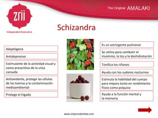 Schizandra Adaptógena Estimulante de la actividad visual y como preventivo de la vista cansada Antioxidante, protege las células de las toxinas y la contaminación medioambiental Ayuda a la función mental y  la memoria Se utiliza para combatir el insomnio, la tos y la deshidratación Estimula la habilidad del cuerpo para mejora tanto en rendimiento físico como psíquico Es un astringente pulmonar Ayuda con los sudores nocturnos Protege el hígado Tonifica los riñones Antidepresivo www.zriiporcolombia.com 