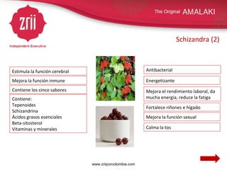 Schizandra (2) Contiene: Tepenoides Schizandrina Ácidos grasos esenciales Beta-sitosterol Vitaminas y minerales Estimula la función cerebral Contiene los cinco sabores Fortalece riñones e hígado Mejora la función sexual Calma la tos Energetizante Mejora la función inmune Antibacterial Mejora el rendimiento laboral, da mucha energía, reduce la fatiga www.zriiporcolombia.com 