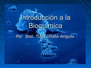 Introducción a laIntroducción a la
BioquímicaBioquímica
Por Biol. Tulio Oñate AnguloPor Biol. Tulio Oñate Angulo
 