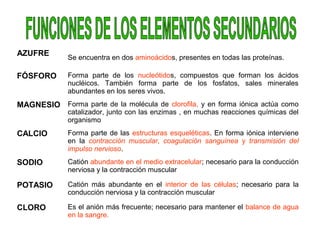 AZUFRE
Se encuentra en dos aminoácidos, presentes en todas las proteínas.
FÓSFORO Forma parte de los nucleótidos, compuestos que forman los ácidos
nucléicos. También forma parte de los fosfatos, sales minerales
abundantes en los seres vivos.
MAGNESIO Forma parte de la molécula de clorofila, y en forma iónica actúa como
catalizador, junto con las enzimas , en muchas reacciones químicas del
organismo
CALCIO Forma parte de las estructuras esqueléticas. En forma iónica interviene
en la contracción muscular, coagulación sanguínea y transmisión del
impulso nervioso.
SODIO Catión abundante en el medio extracelular; necesario para la conducción
nerviosa y la contracción muscular
POTASIO Catión más abundante en el interior de las células; necesario para la
conducción nerviosa y la contracción muscular
CLORO Es el anión más frecuente; necesario para mantener el balance de agua
en la sangre.
 