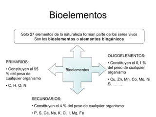 Bioelementos
Sólo 27 elementos de la naturaleza forman parte de los seres vivos
Son los bioelementos o elementos biogénicos
Bioelementos
PRIMARIOS:
• Constituyen el 95
% del peso de
cualquier organismo
• C, H, O, N
SECUNDARIOS:
• Constituyen el 4 % del peso de cualquier organismo
• P, S, Ca, Na, K, Cl, I, Mg, Fe
OLIGOELEMENTOS:
• Constituyen el 0,1 %
del peso de cualquier
organismo
• Cu, Zn, Mn, Co, Mo, Ni
Si, ……..
 