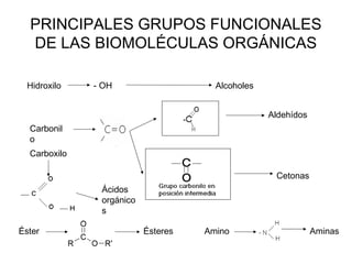 PRINCIPALES GRUPOS FUNCIONALES
DE LAS BIOMOLÉCULAS ORGÁNICAS
Hidroxilo - OH Alcoholes
Carbonil
o
Aldehídos
Cetonas
Carboxilo
Ácidos
orgánico
s
Éster Ésteres Amino Aminas
 