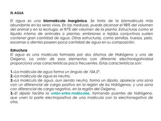EL AGUA
El agua es una biomolécula inorgánica. Se trata de la biomolécula más
abundante en los seres vivos. En las medusas, puede alcanzar el 98% del volumen
del animal y en la lechuga, el 97% del volumen de la planta. Estructuras como el
líquido interno de animales o plantas, embriones o tejidos conjuntivos suelen
contener gran cantidad de agua. Otras estructuras, como semillas, huesos, pelo,
escamas o dientes poseen poca cantidad de agua en su composición.
Estructura
El agua es una molécula formada por dos átomos de Hidrógeno y uno de
Oxígeno. La unión de esos elementos con diferente electronegatividad
proporciona unas características poco frecuentes. Estas características son:
1.-La molécula de agua forma un ángulo de 104,5º.
2.-La molécula de agua es neutra.
3.-La molécula de agua, aun siendo neutra, forma un dipolo, aparece una zona
con un diferencial de carga positivo en la región de los Hidrógenos, y una zona
con diferencial de carga negativo, en la región del Oxígeno.
3.-El dipolo facilita la unión entre moléculas, formando puentes de hidrógeno,
que unen la parte electropositiva de una molécula con la electronegativa de
otra.
 