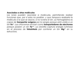 Asociadas a otras moléculas
Los iones pueden asociarse a moléculas, permitiendo realizar
funciones que, por sí solos no podrían, y que tampoco realizaría la
molécula a la que se asocia, si no tuviera el ión. La hemoglobina es
capaz de transportar oxígeno por la sangre porque está unida a un
ión Fe++
. Los citocromos actúan como transportadores de electrones
porque poseen un ión Fe+++
. La clorofila captura energía luminosa
en el proceso de fotosíntesis por contener un ión Mg++
en su
estructura.
 