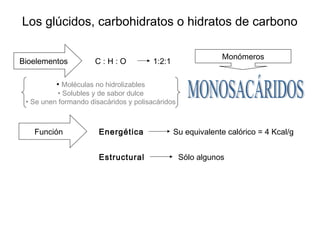 Los glúcidos, carbohidratos o hidratos de carbono
Bioelementos C : H : O 1:2:1
Monómeros
• Moléculas no hidrolizables
• Solubles y de sabor dulce
• Se unen formando disacáridos y polisacáridos
Función Energética Su equivalente calórico = 4 Kcal/g
Estructural Sólo algunos
 
