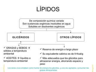 LÍPIDOS
De composición química variada
Son sustancias orgánicas insolubles en agua
Solubles en disolventes orgánicos
GLICÉRIDOS OTROS LÍPIDOS
 GRASAS y SEBOS 
sólidos a temperatura
ambiental
 ACEITES  líquidos a
temperatura ambiental
 Reserva de energía a largo plazo
 Su equivalente calórico es de 9 Kcal/g
 Más adecuados que los glúcidos para
almacenar energía, ahorrando espacio y
peso
Los seres vivos emplean como fuente de energía los glúcidos, y una vez agotados, consumen las
grasas almacenadas
 
