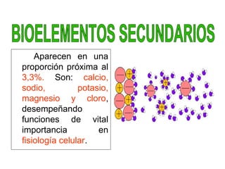 Aparecen en una
proporción próxima al
3,3%. Son: calcio,
sodio, potasio,
magnesio y cloro,
desempeñando
funciones de vital
importancia en
fisiología celular.
 