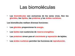 Las biomoléculas
• Las biomoléculas son exclusivas de los seres vivos. Son los
glúcidos, los lípidos, las proteinas y los ácidos nucleicos.
Las biomoléculas realizan diversas funciones:
• Los glúcidos proporcionan la energía.
• Los lípidos son sustancias de reserva energética.
• Las proteinas sirven para el crecimiento y reparación de tejidos.
• Los ácidos nucleicos permiten las funciones de reproducción.
08
 