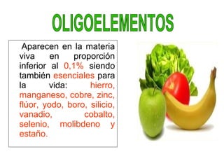 Aparecen en la materia
viva en proporción
inferior al 0,1% siendo
también esenciales para
la vida: hierro,
manganeso, cobre, zinc,
flúor, yodo, boro, silicio,
vanadio, cobalto,
selenio, molibdeno y
estaño.
 