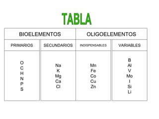 O
C
H
N
P
S
Na
K
Mg
Ca
Cl
Mn
Fe
Co
Cu
Zn
B
Al
V
Mo
I
Si
Li
PRIMARIOS SECUNDARIOS INDISPENSABLES VARIABLES
BIOELEMENTOS OLIGOELEMENTOS
 