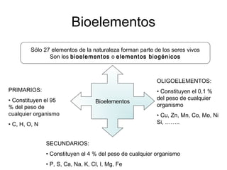 Bioelementos
Sólo 27 elementos de la naturaleza forman parte de los seres vivos
Son los bioelementos o elementos biogénico...