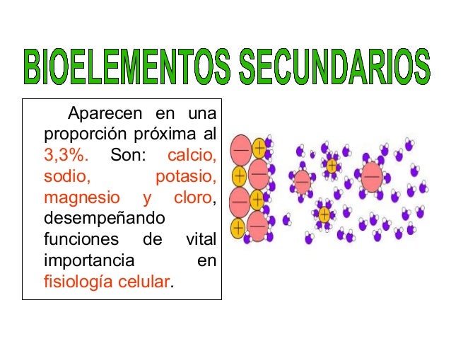 Componentes quimicos de la materia viva
