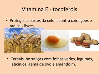 Vitamina E - tocoferóis
• Protege as partes da célula contra oxidações e
  radicais livres




• Cereais, hortaliças com folhas vedes, legumes,
  laticínios, gema de ovo e amendoim.
 