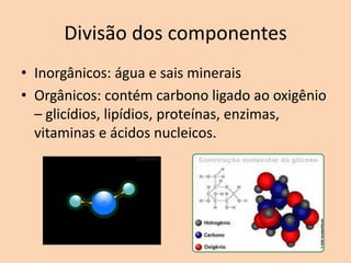 Divisão dos componentes
• Inorgânicos: água e sais minerais
• Orgânicos: contém carbono ligado ao oxigênio
  – glicídios, lipídios, proteínas, enzimas,
  vitaminas e ácidos nucleicos.
 
