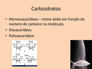 Carboidratos
• Monossacarídeos – nome dado em função do
  número de carbono na molécula;
• Dissacarídeos
• Polissacarídeos
 