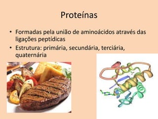 Proteínas
• Formadas pela união de aminoácidos através das
  ligações peptídicas
• Estrutura: primária, secundária, terciária,
  quaternária
 