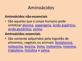 Aminoácidos
Aminoácidos não-essenciais
• São aqueles que o corpo humano pode
  sintetizar:alanina, asparagina, ácido aspártico,
  ácido glutâmico, serina.
Aminoácidos essenciais
• São somente adquiridos pela ingestão de
  alimentos, vegetais ou animais: fenilalanina,
  isoleucina, leucina, lisina, metionina, treonina,
  triptofano, histidina e valina.
 