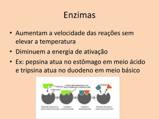 Enzimas
• Aumentam a velocidade das reações sem
  elevar a temperatura
• Diminuem a energia de ativação
• Ex: pepsina atua no estômago em meio ácido
  e tripsina atua no duodeno em meio básico
 