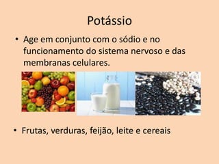 Potássio
• Age em conjunto com o sódio e no
  funcionamento do sistema nervoso e das
  membranas celulares.




• Frutas, verduras, feijão, leite e cereais
 