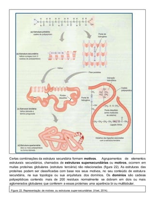 Certas combinações da estrutura secundária formam motivos. Agrupamentos de elementos
estruturais secundários, chamados de estruturas supersecundárias ou motivos, ocorrem em
muitas proteínas globulares (estrutura terciária) não relacionadas (figura 22). As estruturas das
proteínas podem ser classificadas com base nos seus motivos, no seu conteúdo de estrutura
secundária, na sua topologia ou sua arquitetura dos domínios. Os domínios são cadeias
polipeptídicas contendo mais de 200 resíduos normalmente se dobram em dois ou mais
aglomerados globulares que conferem a essas proteínas uma aparência bi ou multilobular.
Figura 22. Representação de motivos ou estruturas super-secundárias (Voet, 2014).
 