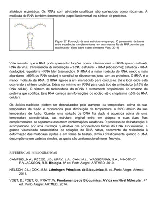 atividade enzimática. Os RNAs com atividade catalíticas são conhecidos como ribozimas. A
molécula de RNA também desempenha papel fundamental na síntese de proteínas.
Figura 27. Formação de uma estrutura em grampo. O pareamento de bases
entre sequências complementares em uma mesma fita de RNA permite que
o polinucleo- tídeo dobre sobre si mesmo.(Voet, 2014)
Vale ressaltar que o RNA pode apresentar funções como: informacional - mRNA (pouco estável),
RNA de vírus; transferência de informação – tRNA; estrutural - rRNA (ribossomo); catalítica - rRNA
(tradução); regulatória - RNA líder (atenuação). O rRNA é a maior molécula de RNA, sendo o mais
abundante (80% do RNA celular) e constitui os ribossomos junto com as proteinas. O tRNA é a
menor molécula de RNA. O tRNA liga-se a um aminoácido para conduzi-lo até o local onde está
ocorrendo a síntese protéica. Existe no mínimo um RNAt para cada tipo de aminoácido (15% do
RNA celular). O número de nucleotídeos do mRNA é diretamente proporcional ao tamanho da
proteína que codifica. Este RNA carrega as informações do núcleo até o citoplasma (5% do RNA
celular).
Os ácidos nucleicos podem ser desnaturados pelo aumento da temperatura acima da sua
temperatura de fusão e renaturados pela diminuição da temperatura a 25°C abaixo da sua
temperatura de fusão. Quando uma solução de DNA fita dupla é aquecida acima de uma
temperatura característica, sua estrutura original entra em colapso e suas duas fitas
complementares se separam e assumem conformações aleatórias. O processo de desnaturação é
acompanhado por uma mudança qualitativa das propriedades físicas do DNA. Por exemplo, a
grande viscosidade característica de soluções de DNA nativo, decorrente da resistência à
deformação das moléculas rígidas e em forma de bastão, diminui drasticamente quando o DNA
decompõe-se em cadeias simples, as quais são conformacionalmente flexíveis.
REFERÊNCIAS BIBLIOGRÁFICAS
CAMPBEL, N.A.; REECE, J.B.; URRY, L.A.; CAIN, M.L.; WASSERMAN, S.A.; MINORSKY,
P.V.JACKSON, R.B. Biologia. 8ª ed. Porto Alegre: ARTMED, 2010.
NELSON, D.L.; COX, M.M. Lehninger: Princípios de Bioquímica. 5. ed..Porto Alegre: Artmed.
2011.
VOET, D.; VOET, G.; PRATT, W. Fundamentos de Bioquímica: A Vida em Nível Molecular, 4ª
ed.. Porto Alegre: ARTMED, 2014.
 