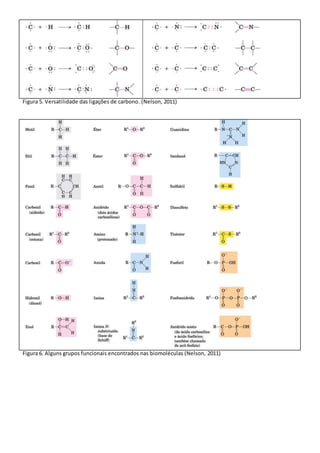 Figura 5. Versatilidade das ligações de carbono. (Nelson, 2011)
Figura 6. Alguns grupos funcionais encontrados nas biomoléculas (Nelson, 2011)
 
