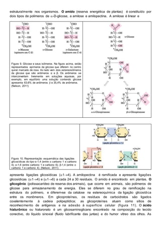 estruturalmente nos organismos. O amido (reserva energética de plantas) é constituído por
dois tipos de polímeros de -D-glicose, a amilose e amilopectina. A amilose é linear e
Figura 9. Glicose e seus isômeros. Na figura acima, estão
representados epímeros da glicose que diferem no centro
quiral marcado de rosa. Ao lado vem dois estereoisômeros
da glicose que são anômeros α e β. Os anômeros se
interconvertem livremente em soluções aquosas, por
exemplo, em equilíbrio uma solução contendo glicose
apresenta 63,6% de anômeros  e 35,4% de anômeros.
(Nelson, 2011)
Figura 10. Representação esquemática das ligações
glicosídicas do tipo α-1,4 (entre o carbono 1 e carbono
4); α-1,6 (entre carbono 1 e carbono 6); β-1,4 (entre o
carbono 1 e carbono 4). (Nelson, 2011)
apresenta ligações glicosídicas (14). A amilopectina é ramificada e apresenta ligações
glicosídicas (14) e (16) a cada 24 a 30 resíduos. O amido é encontrado em plantas. O
glicogênio (polissacarídeo de reserva dos animais), que ocorre em animais, são polímeros de
glicose para armazenamento de energia. Eles se diferem no grau de ramificação na
estrutura do polímero, e diferem-se da celulose na estereoquímica da ligação glicosídica
entre os monômeros. Em glicoproteínas, os resíduos de carboidratos são ligados
covalentemente à cadeia polipeptídica; as glicoproteínas atuam como sítios de
reconhecimento de antígenos e na adesão à superfície celular (figura 11). O ácido
hialurônico ou hialuronato é um glicosaminoglicano encontrado na composição do tecido
conectivo, do líquido sinovial (fluido lubrificante das juntas) e do humor vítreo dos olhos. As
 