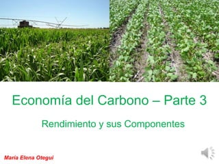 Economía del Carbono – Parte 3
Rendimiento y sus Componentes
María Elena Otegui
 