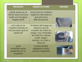 OBSERVACIONES:
PREGUNTA OBSERVACIONES IMAGEN
¿Qué observas al
hacer reaccionar el
suelo con el agua
oxigenada?
reacciona la materia
orgánica del suelo lo
que provoca
efervescencia.
¿Al colocar la
muestra tratada al
microscopio qué se
observa?
Al retirar del fuego se
observa que la
muestra de suelo es
beige, hay minerales
de distintos colores
(café, negro,
dorado, sin color y
blanco)
¿qué
minerales están
presentes en tu
muestra?
Cuarzo biotita
feldespato pirita
calcita magnetita
 