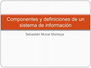 Componentes y definiciones de un
    sistema de información
       Sebastián Munar Montoya
 