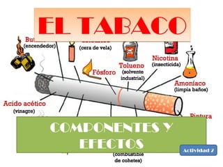 COMPONENTES Y
EFECTOS
EL TABACOEL TABACO
Actividad 2
 