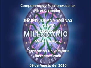 Componentes y Funciones de los
Pares Craneales.
JHAIMY JOHANA SALINAS
CANTE
ID 100069523
Morfofisiología
Corporación Universitaria
Iberoamericana
09 de Agosto del 2020
 
