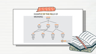 COMPONENT FIELD AND MEANING COMPONENT.pptx