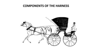 COMPONENTS OF THE HARNESS
 