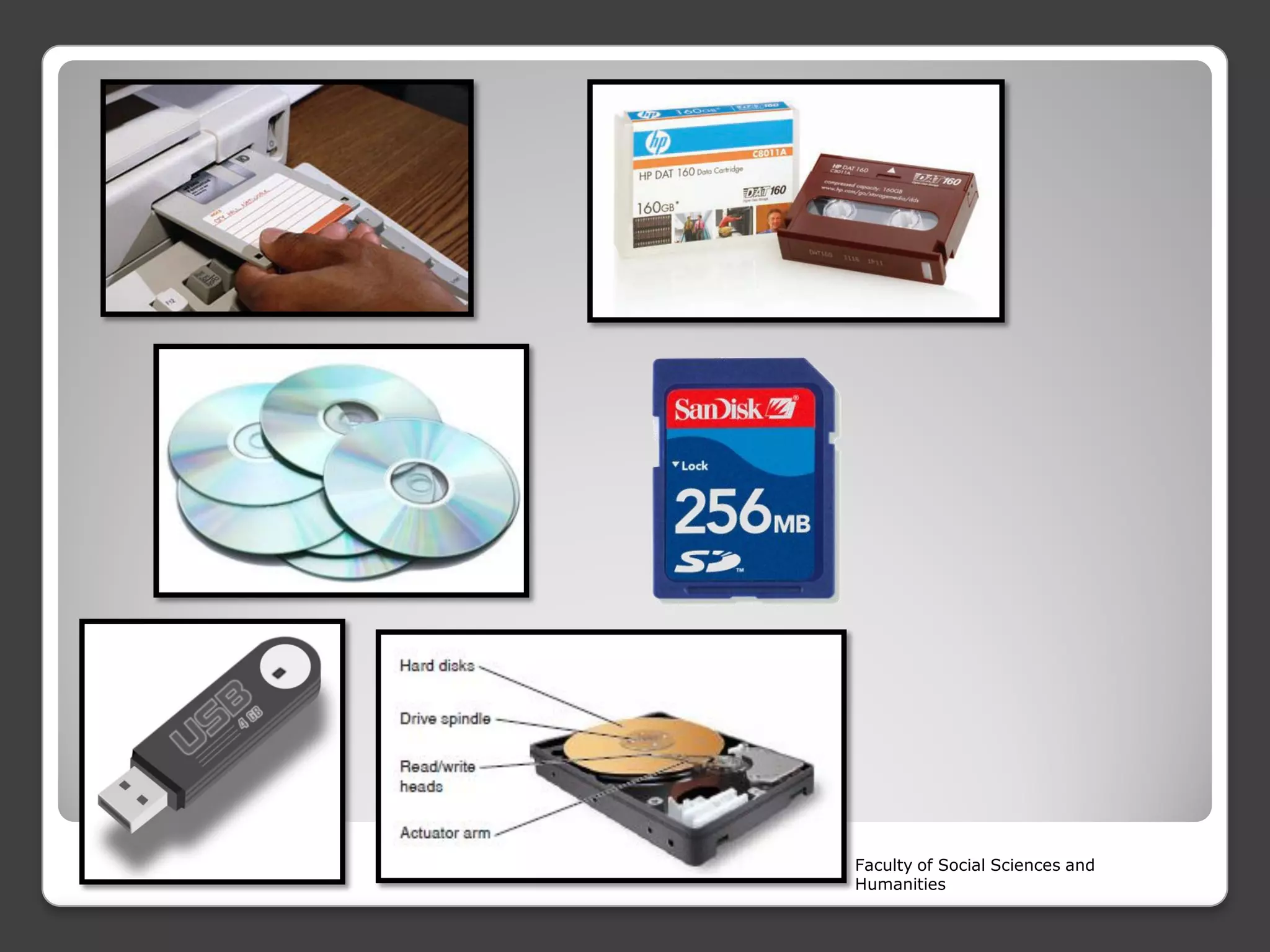 Faculty of Social Sciences and
Humanities

 