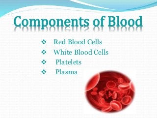 Components of Blood 
 Red Blood Cells 
 White Blood Cells 
 Platelets 
 Plasma 
 