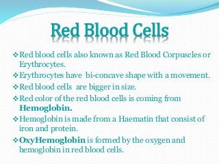Red Blood Cells 
Red blood cells also known as Red Blood Corpuscles or 
Erythrocytes. 
Erythrocytes have bi-concave shape with a movement. 
Red blood cells are bigger in size. 
Red color of the red blood cells is coming from 
Hemoglobin. 
Hemoglobin is made from a Haematin that consist of 
iron and protein. 
OxyHemoglobin is formed by the oxygen and 
hemoglobin in red blood cells. 
 