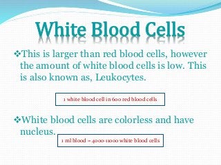 White Blood Cells 
This is larger than red blood cells, however 
the amount of white blood cells is low. This 
is also known as, Leukocytes. 
1 white blood cell in 600 red blood cells 
White blood cells are colorless and have 
nucleus. 
1 ml blood = 4000-11000 white blood cells 
 