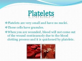 Platelets 
Platelets are very small and have no nuclei. 
These cells have granules. 
When you are wounded, blood will not come out 
of the wound continuously due to the blood 
clotting process and it is quickened by platelets. 
 