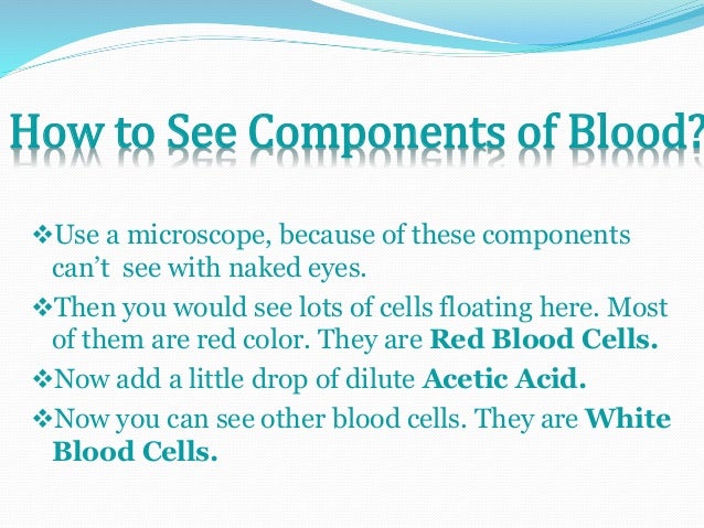 4 Components of Blood And Their Functions