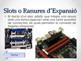 Slots o Ranures d’Expansió
• Es tracta d'un bloc plàstic que integra una ranura
  amb una forma especial i amb una certa quantitat
  de connectors, els quals permeten la connexió de
  targetes d'expansió.




    Torna
     Torna
 