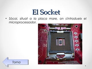 El Socket
• Sòcol, situat a la placa mare, on s'introdueix el
  microprocessador.




    Torna
     Torna
 