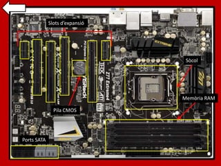 Slots d’expansió
Sòcol
Memòria RAM
Pila CMOS
Ports SATA
 