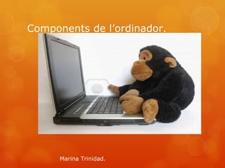 Components de l’ordinador. Marina Trinidad. 