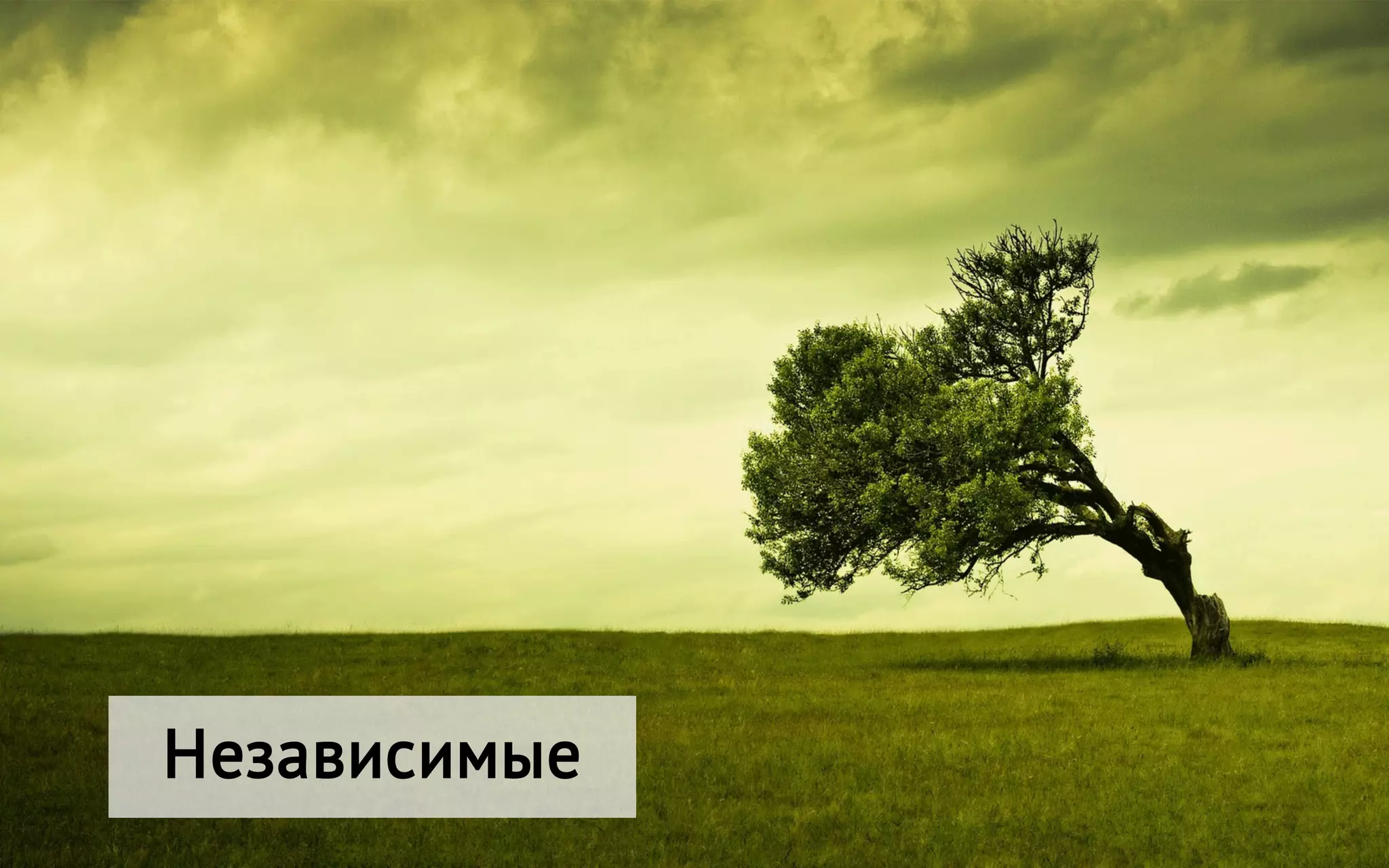 Независимые
 