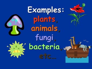 Examples:
plants,
animals,
fungi,
bacteria,
etc…
 